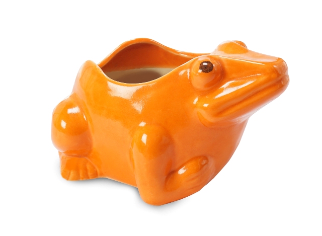 Frog Shaped Pot Front View by the best online nursery shop Greendecor.